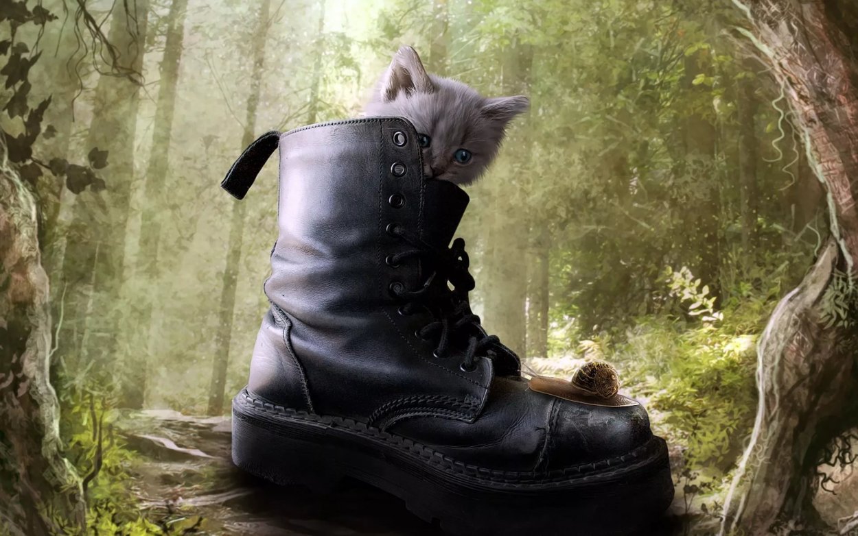 Bionic сапоги сапоги-скороходы Boots