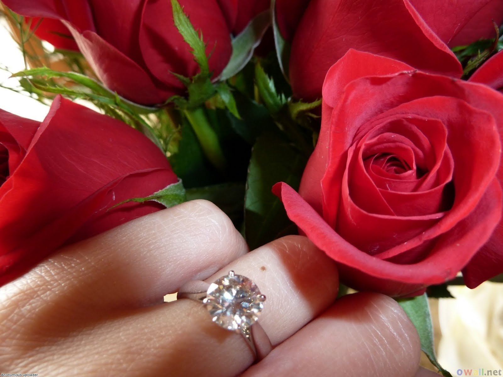 Фото кольца и цветов. Кольцо цветы. Букет цветов с кольцом. Букет роз с колечком.