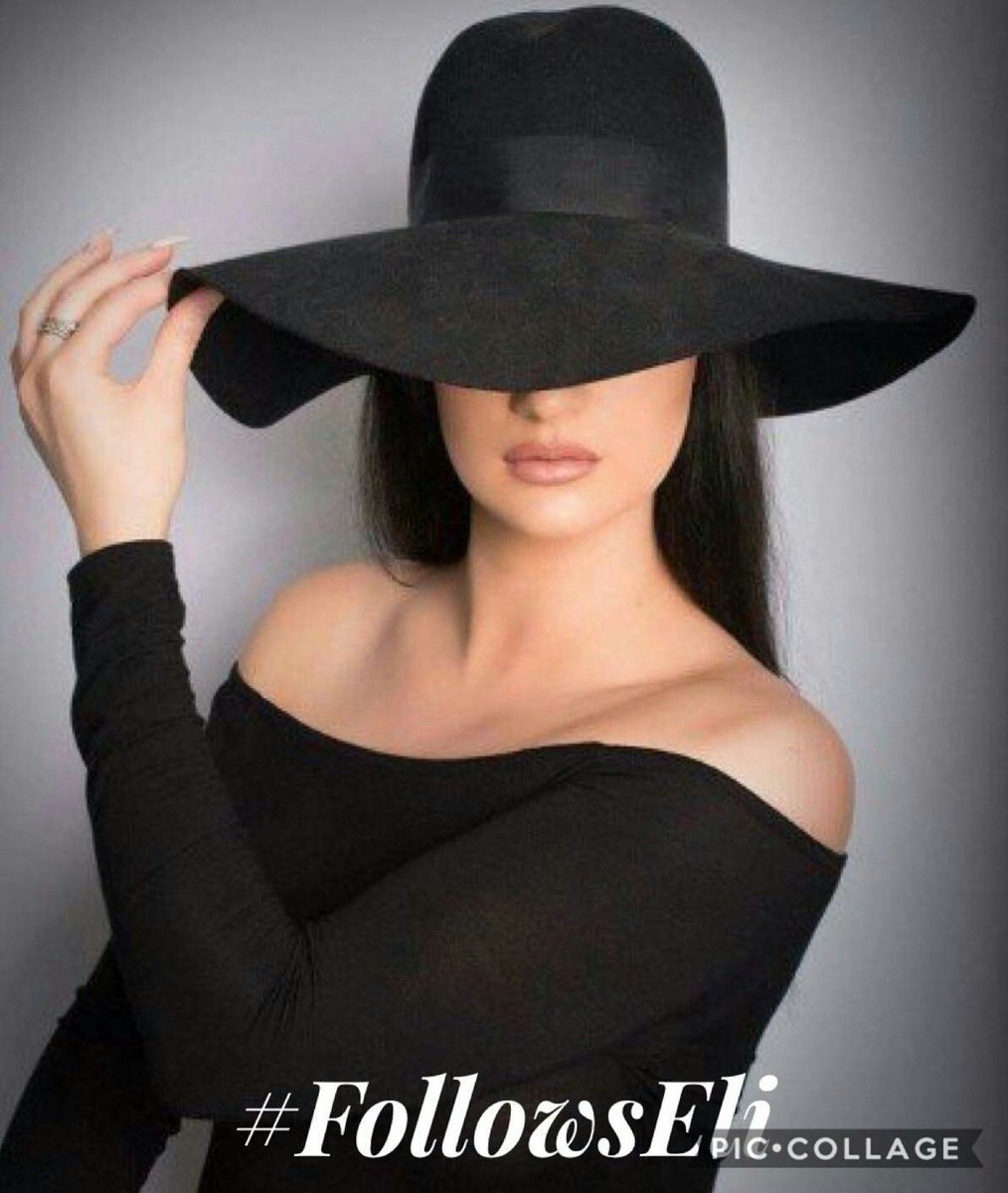 Лаванда Lady Lavender