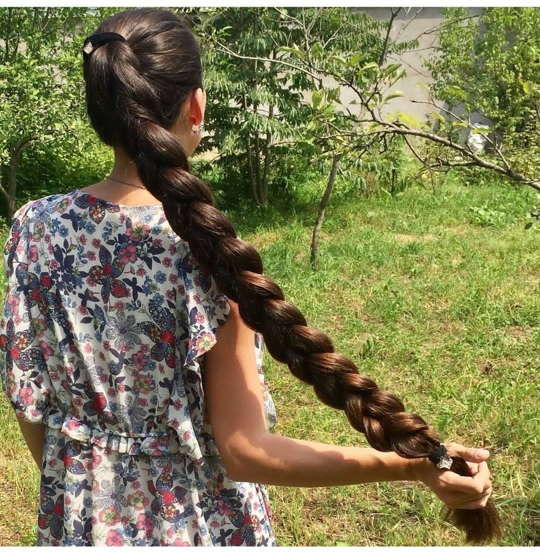 Густые волосы в косе