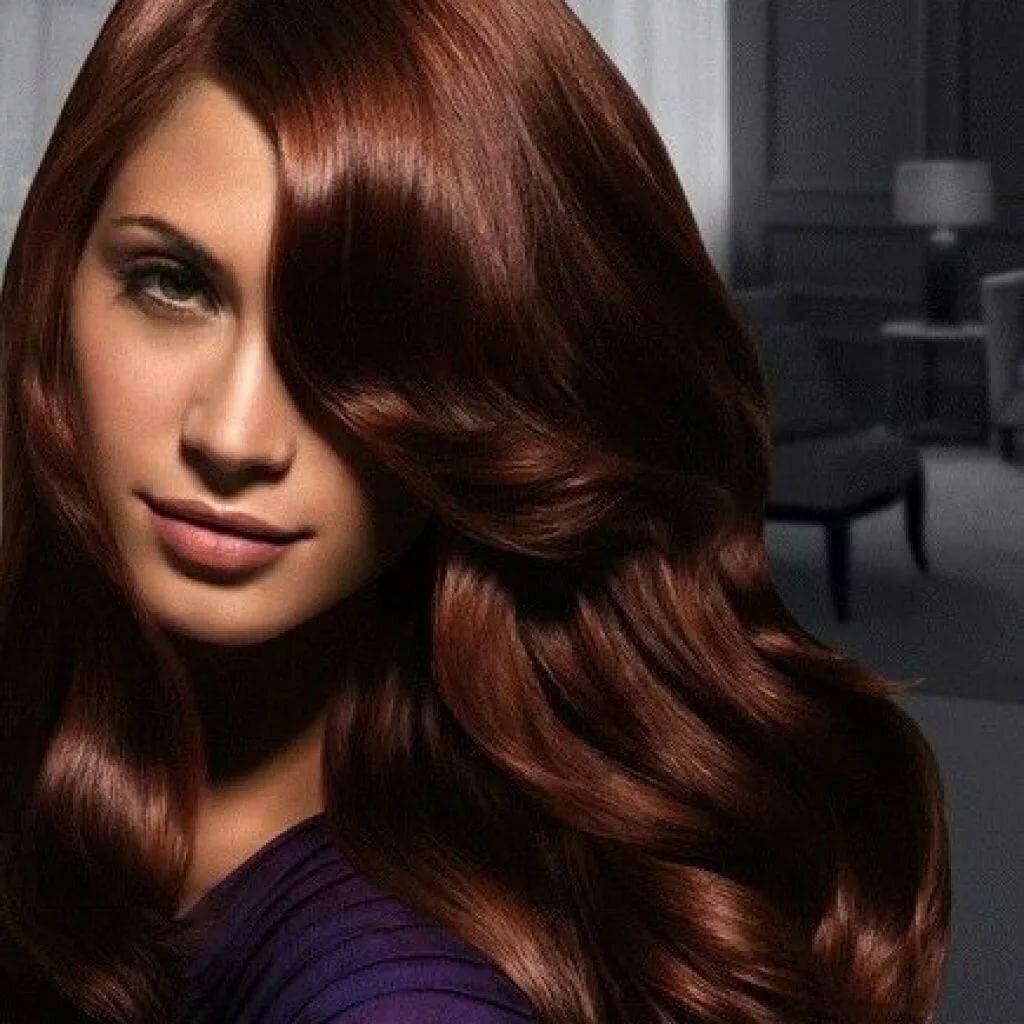 Цвет волос Dark Auburn Brown