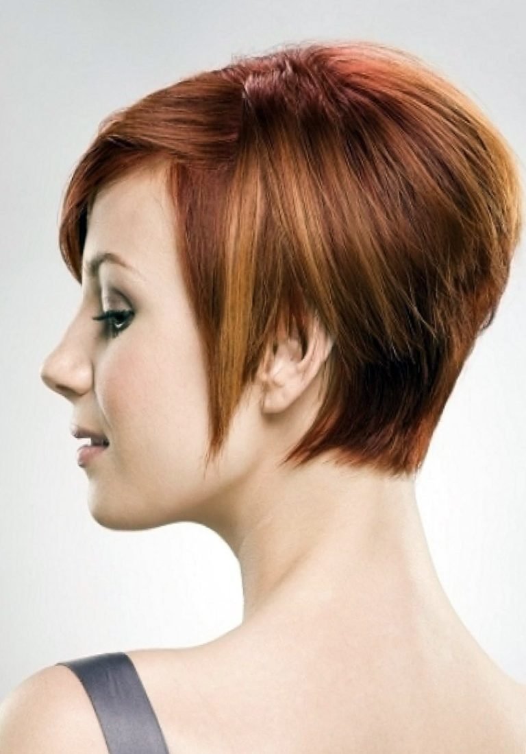 Pixie Bob