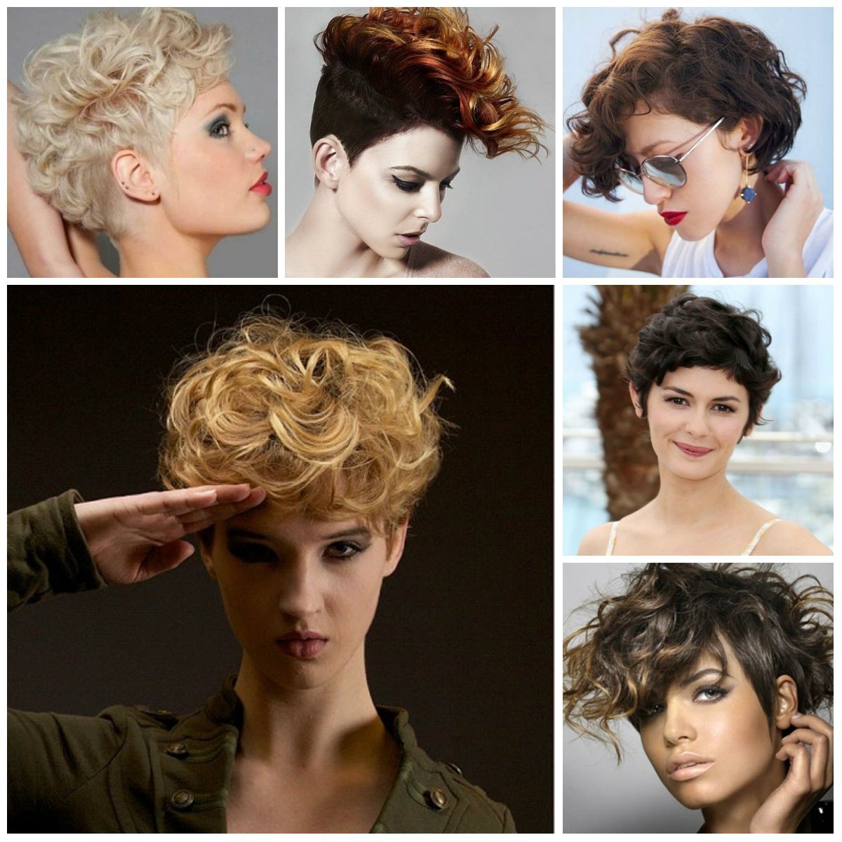 Curly Pixie