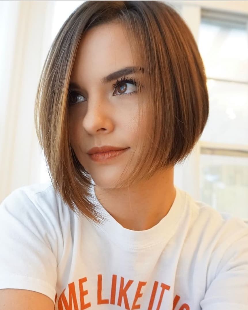 Модель Алиша нетт