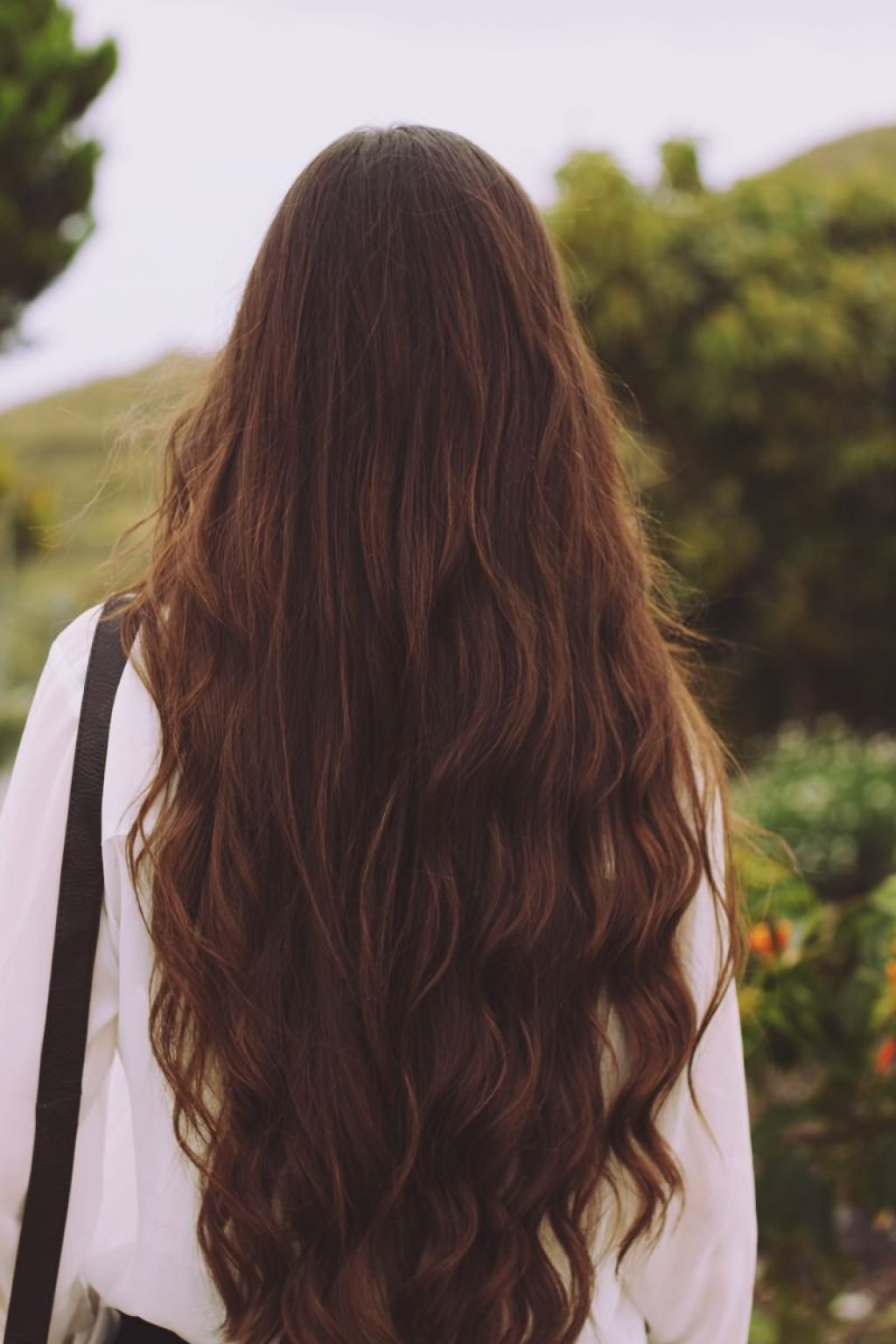 Каштановые волосы со спины