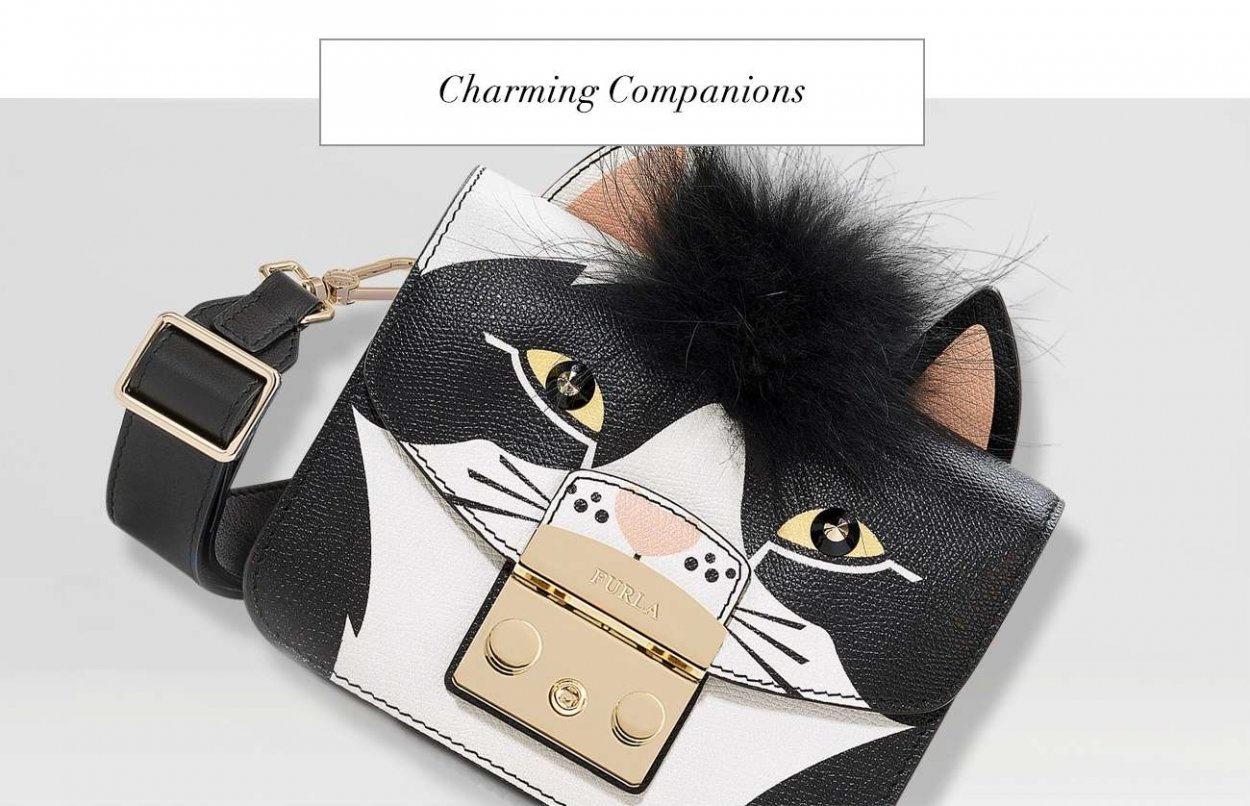 Cat in the Bag
