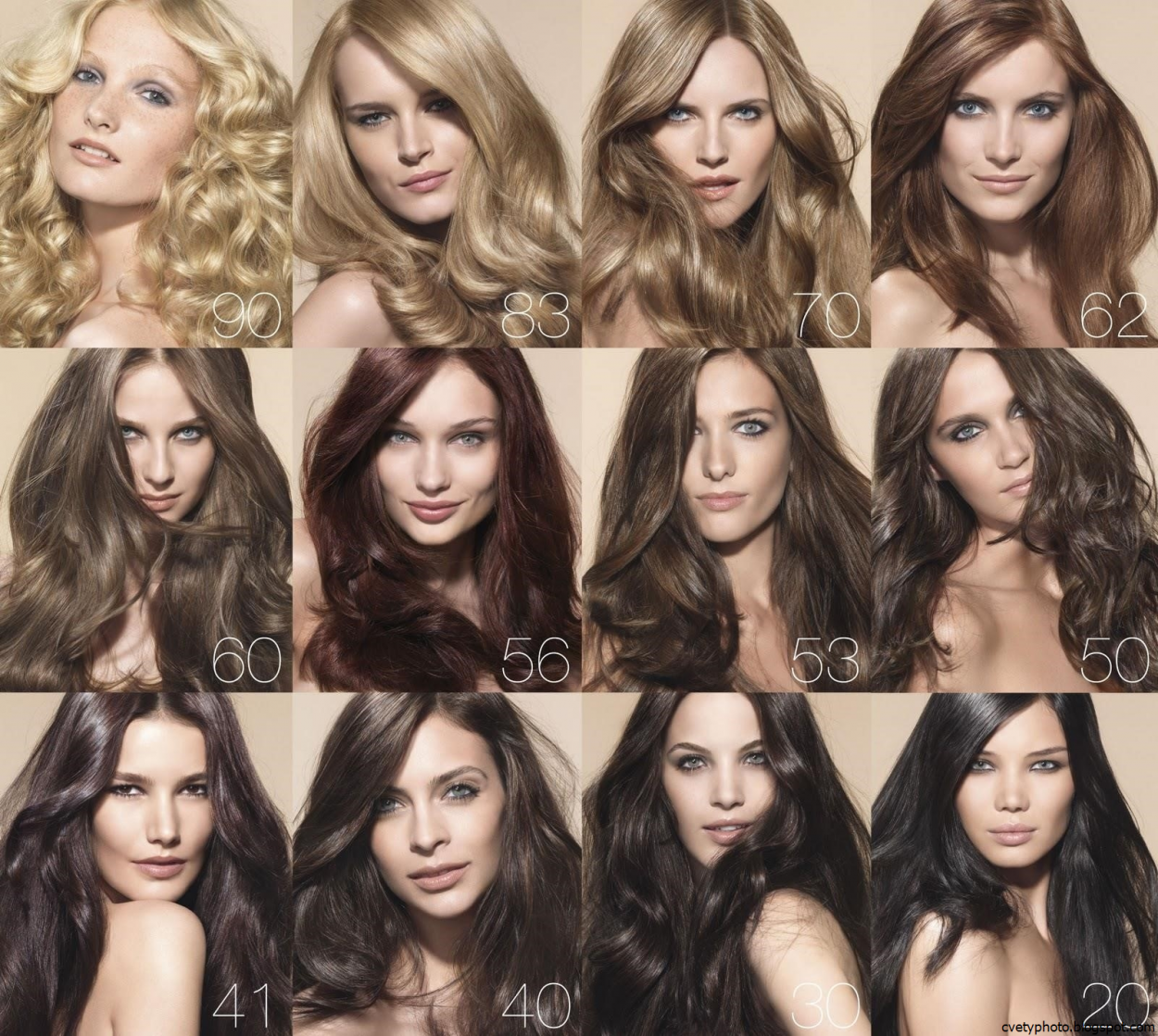 Brazilian Blowout логотип