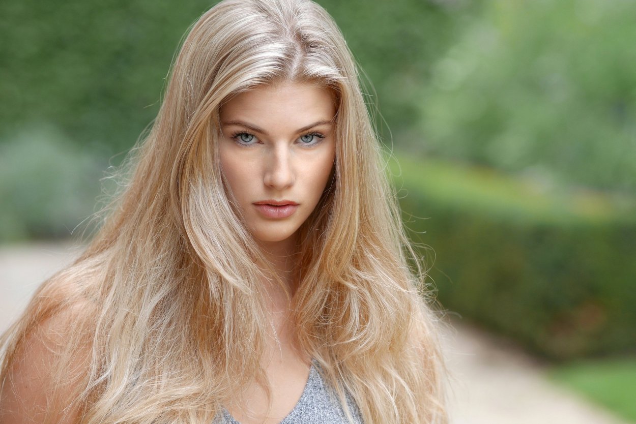 Сильвер грей ( Silver Gray )