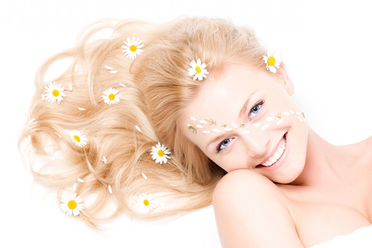 Camomile модель