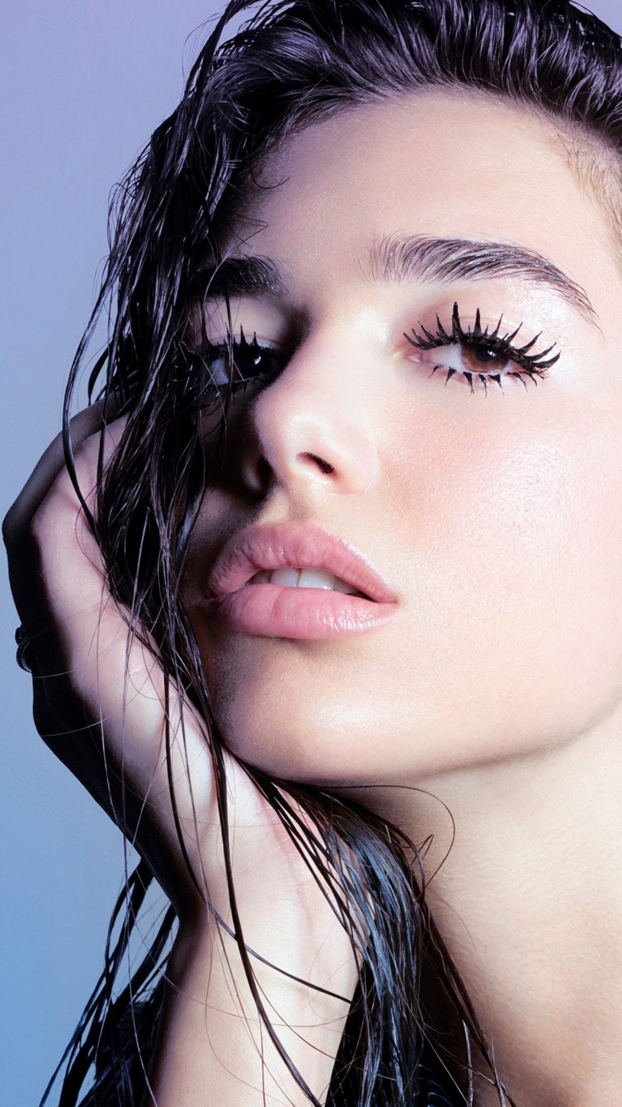 Dua Lipa волосы
