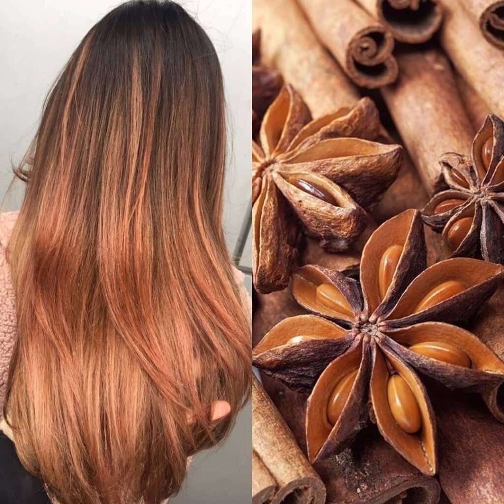 Cinnamon Brown цвет волос