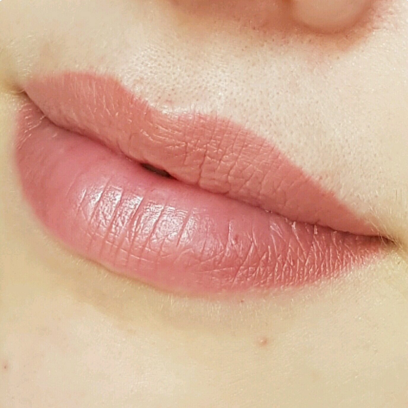Перманентный макияж губ цвета карамель (57 фото)
