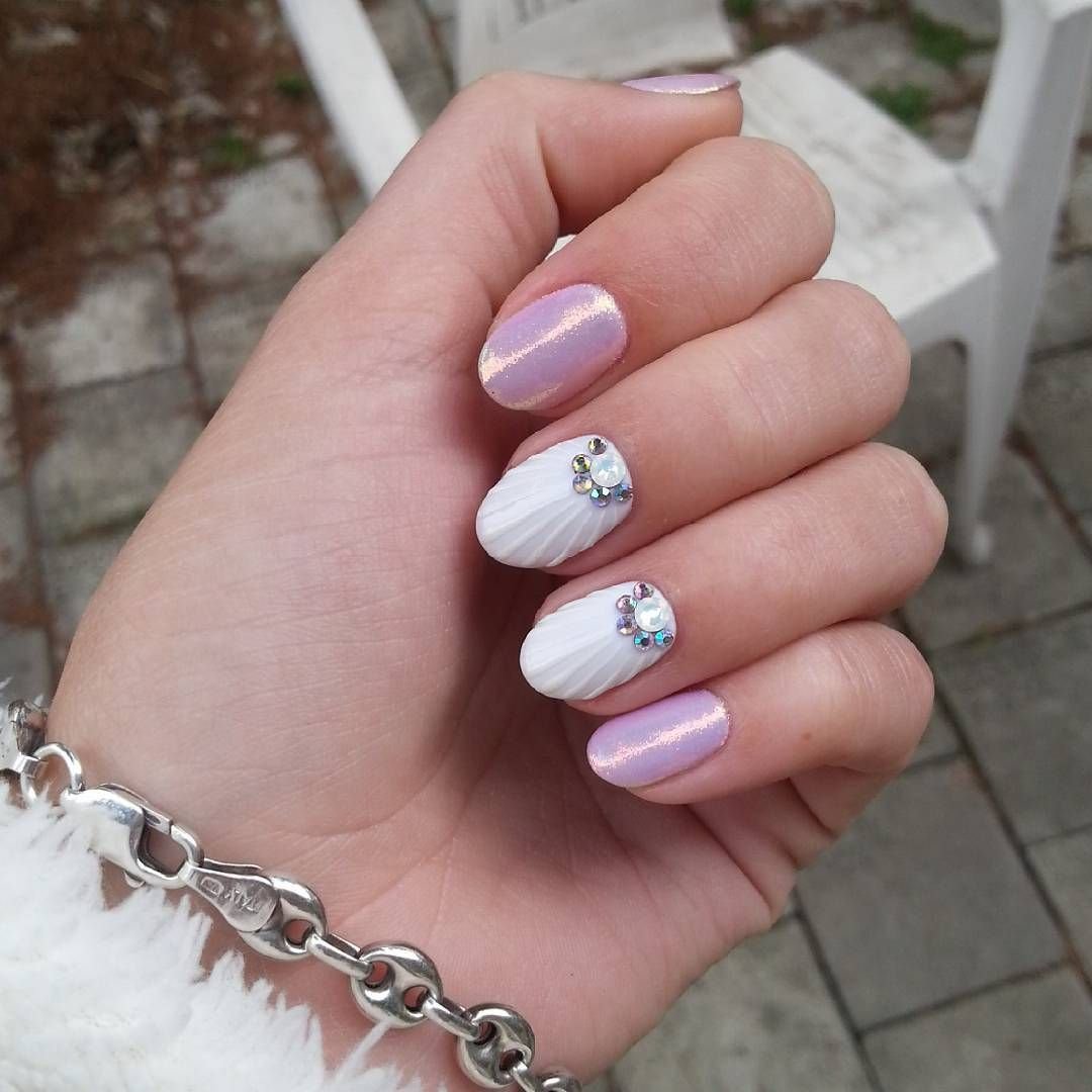 Ракушки Эстетика