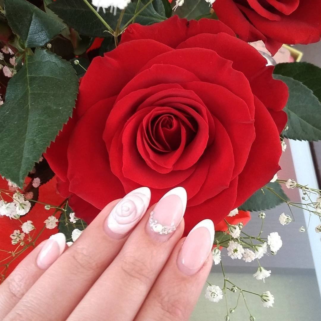 Дизайн ногтей розы. Розы на ногтях. Маникюр с розочками. Красный маникюр с розами. Красные ногти с розами.