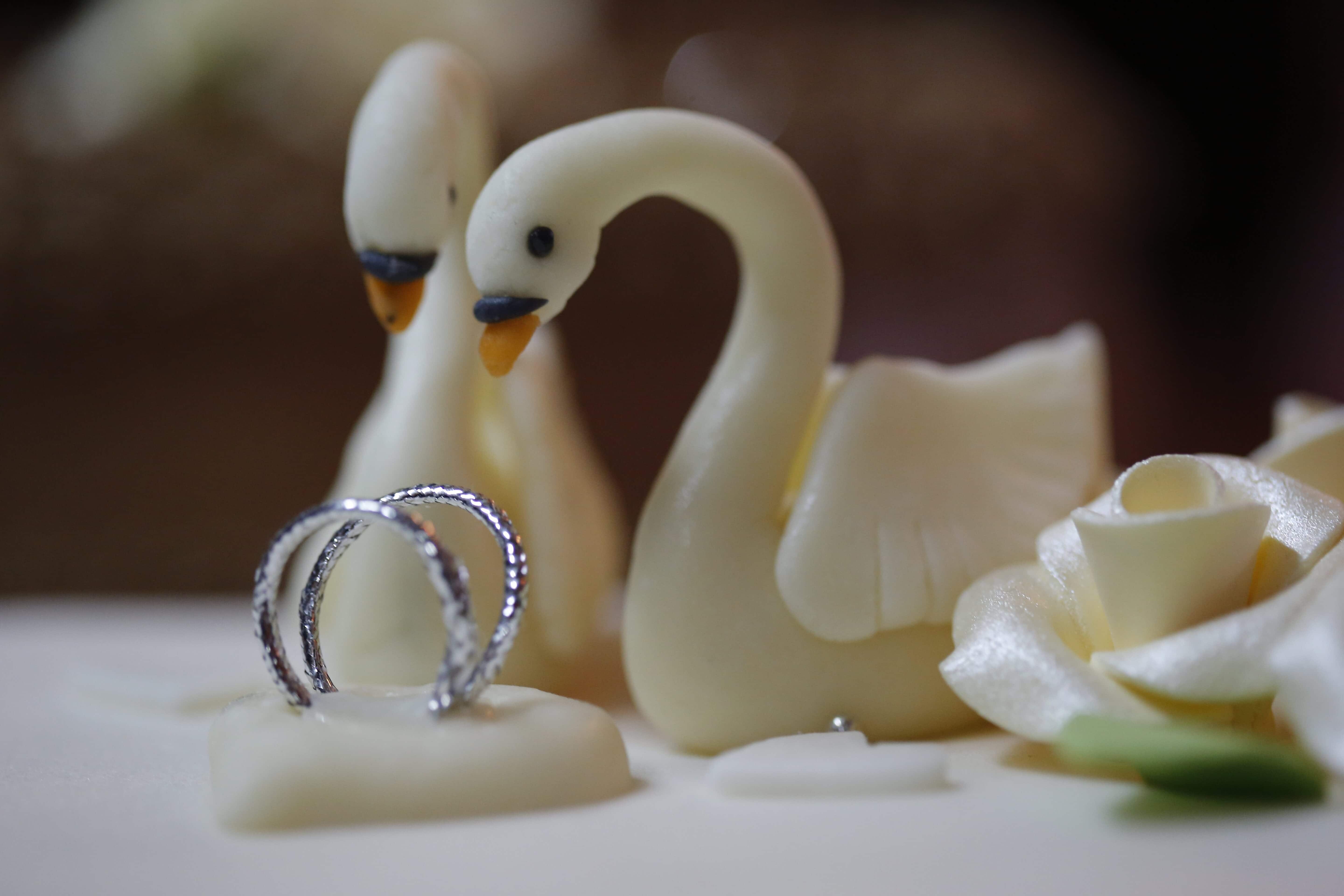 Свадебные кольца и лебеди