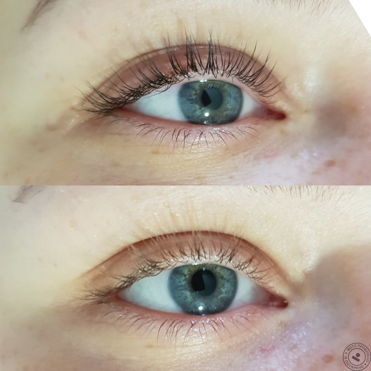 Velvet на короткие ресницы