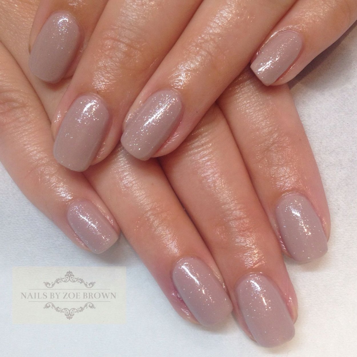Field Fox Shellac