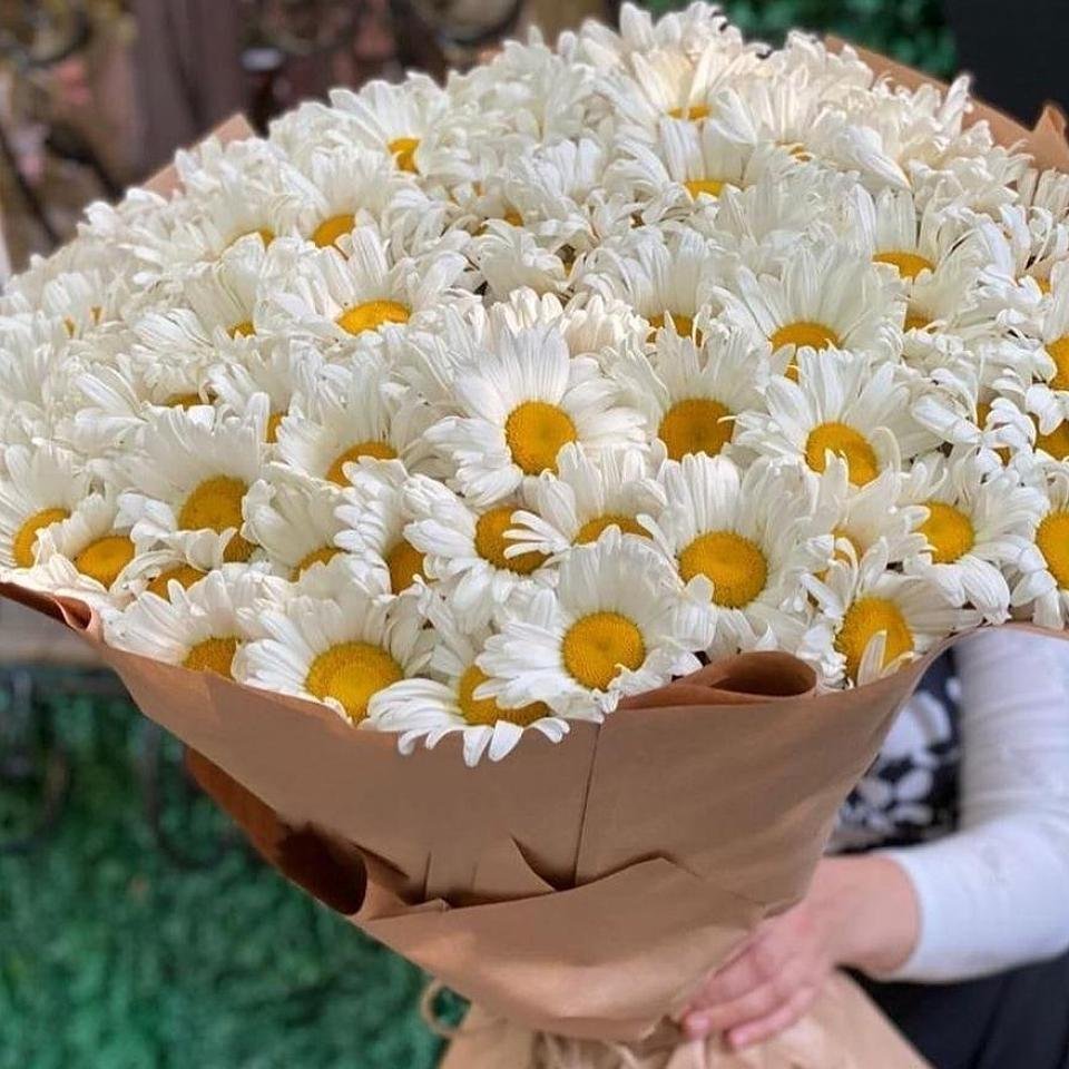 Букет ромашек