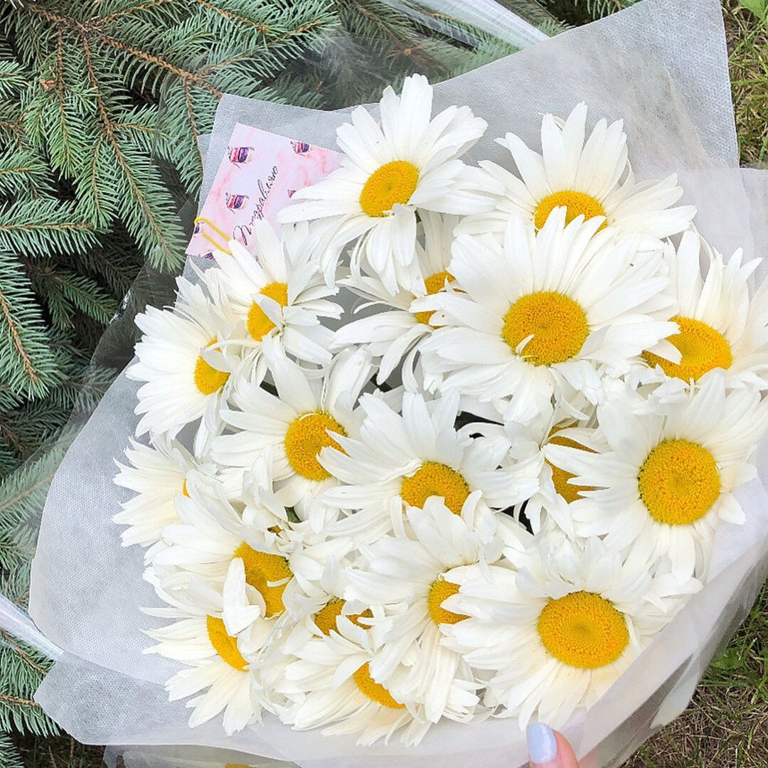 Букет из ромашек