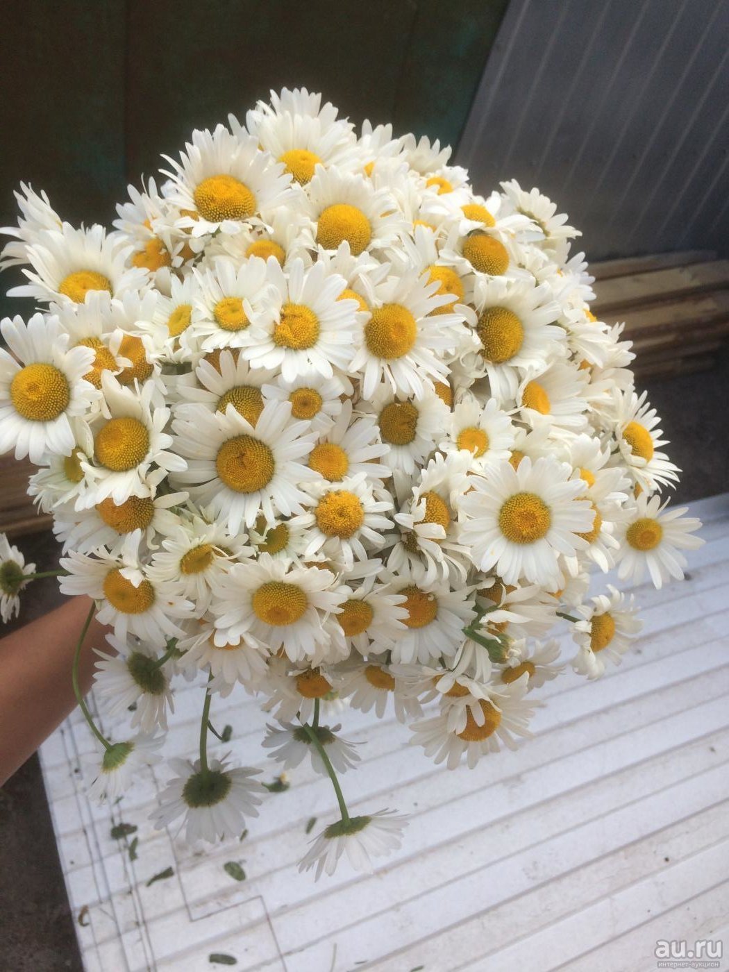 Букет ромашек