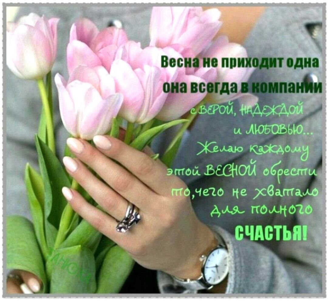 Букет тюльпанов в руках