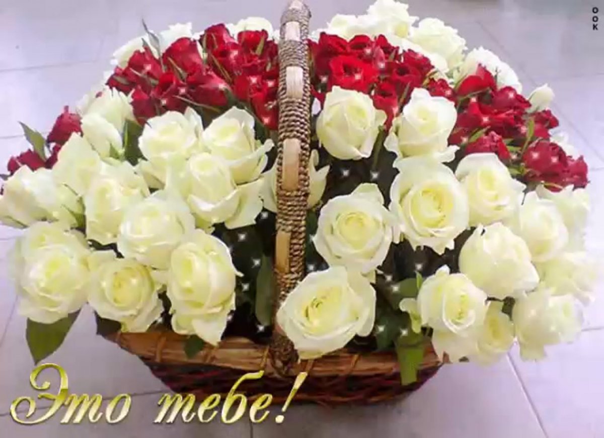 Корзины роз с пожеланиями