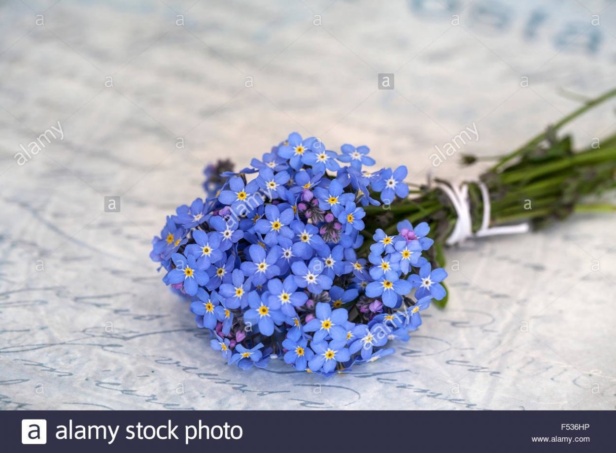 Букет незабудок