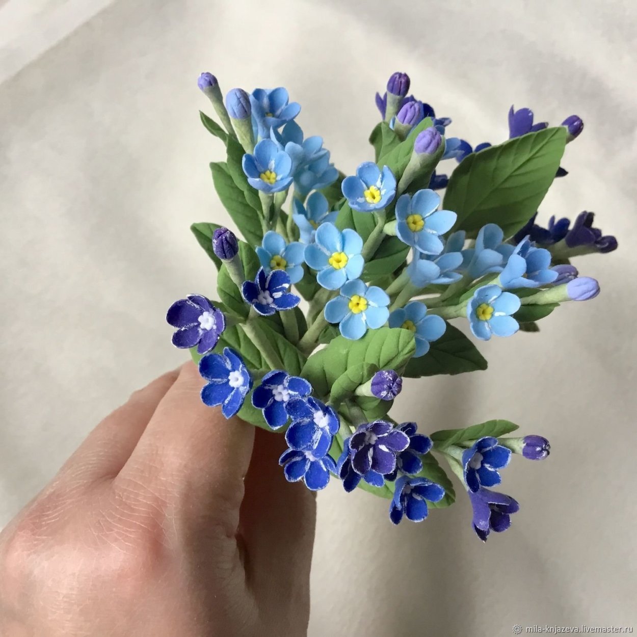 Незабудки во флористике