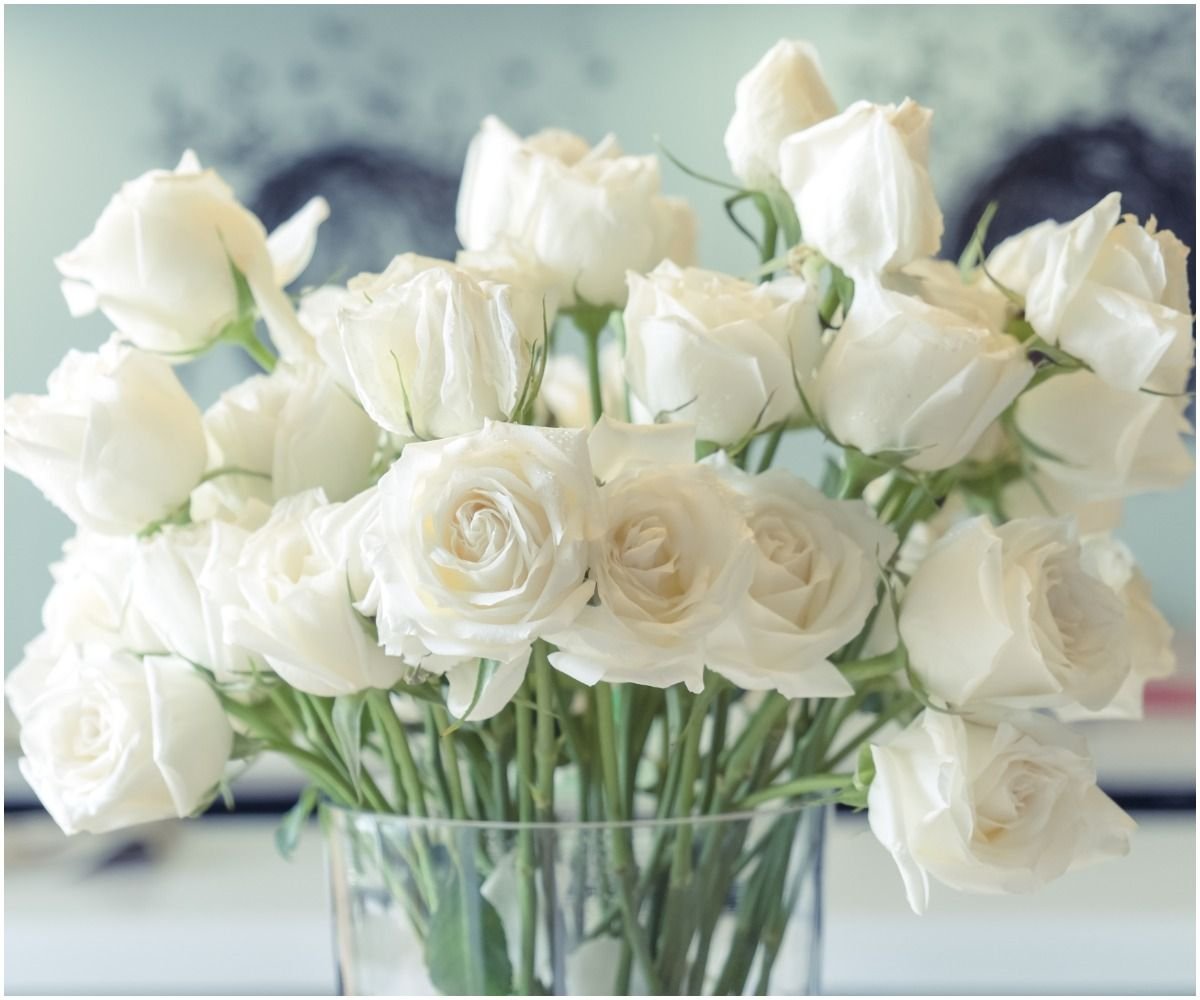 Розы белые живые цветы на фоне бежевых обоев фото