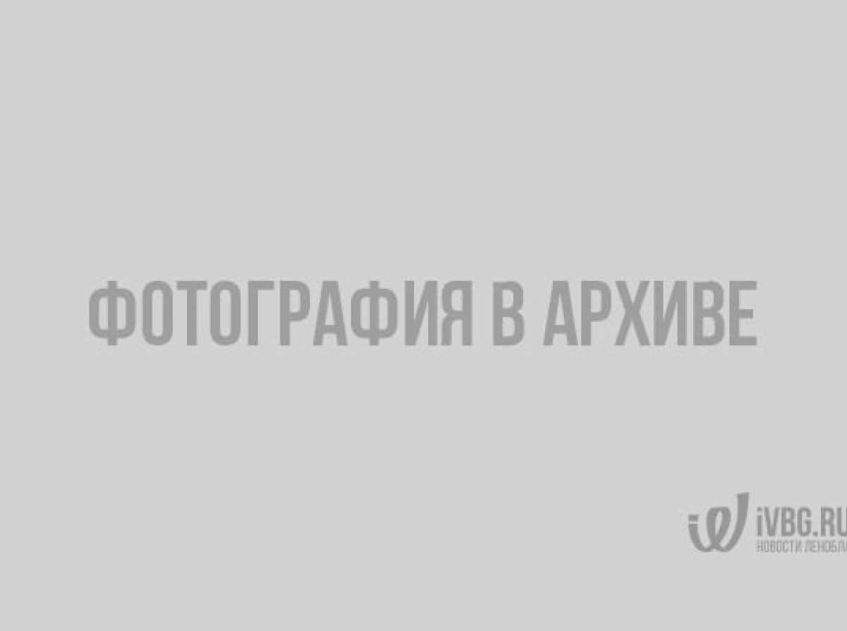 Букеты из конфет осенние композиции