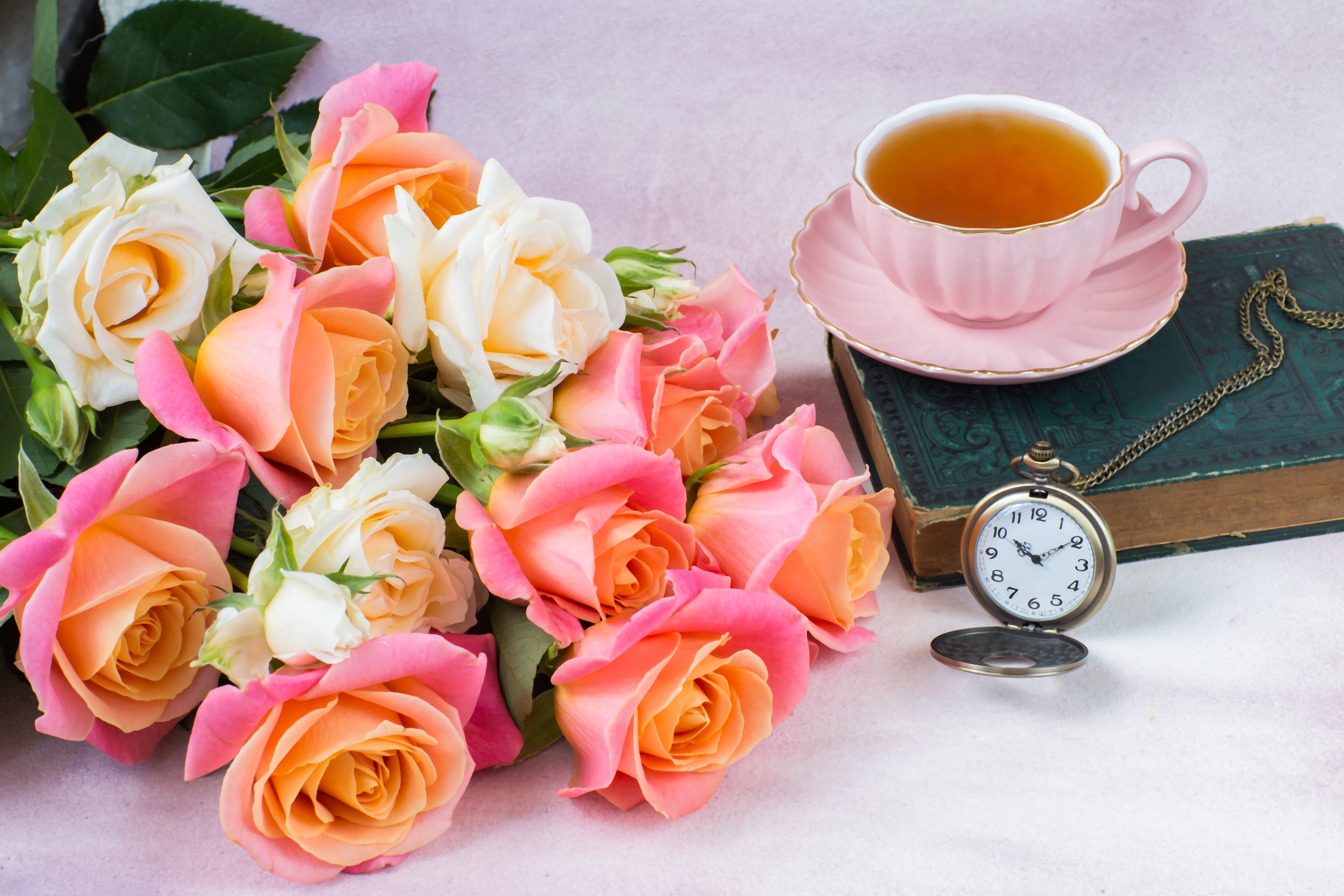 Цветы доброе утро красивой девушке. Цветы в чашке. Красивые цветы в чашке. Доброе утро цветы. Цветы в кружке.