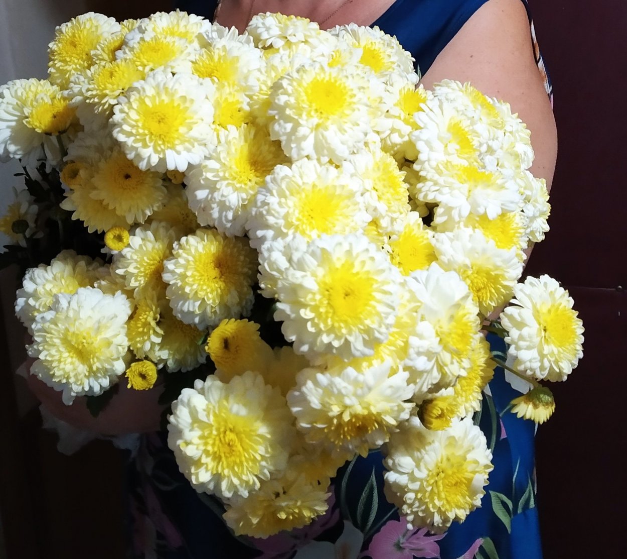 Хризантема Naspi Yellow
