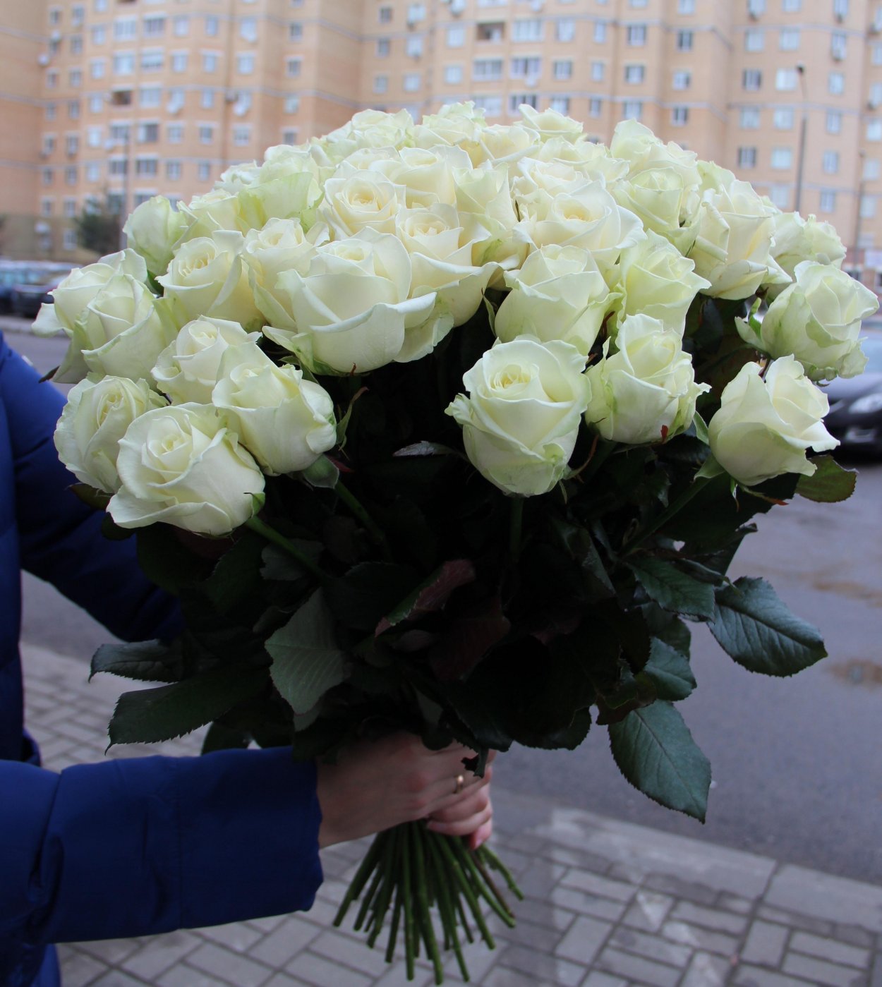 Белая роза в руке