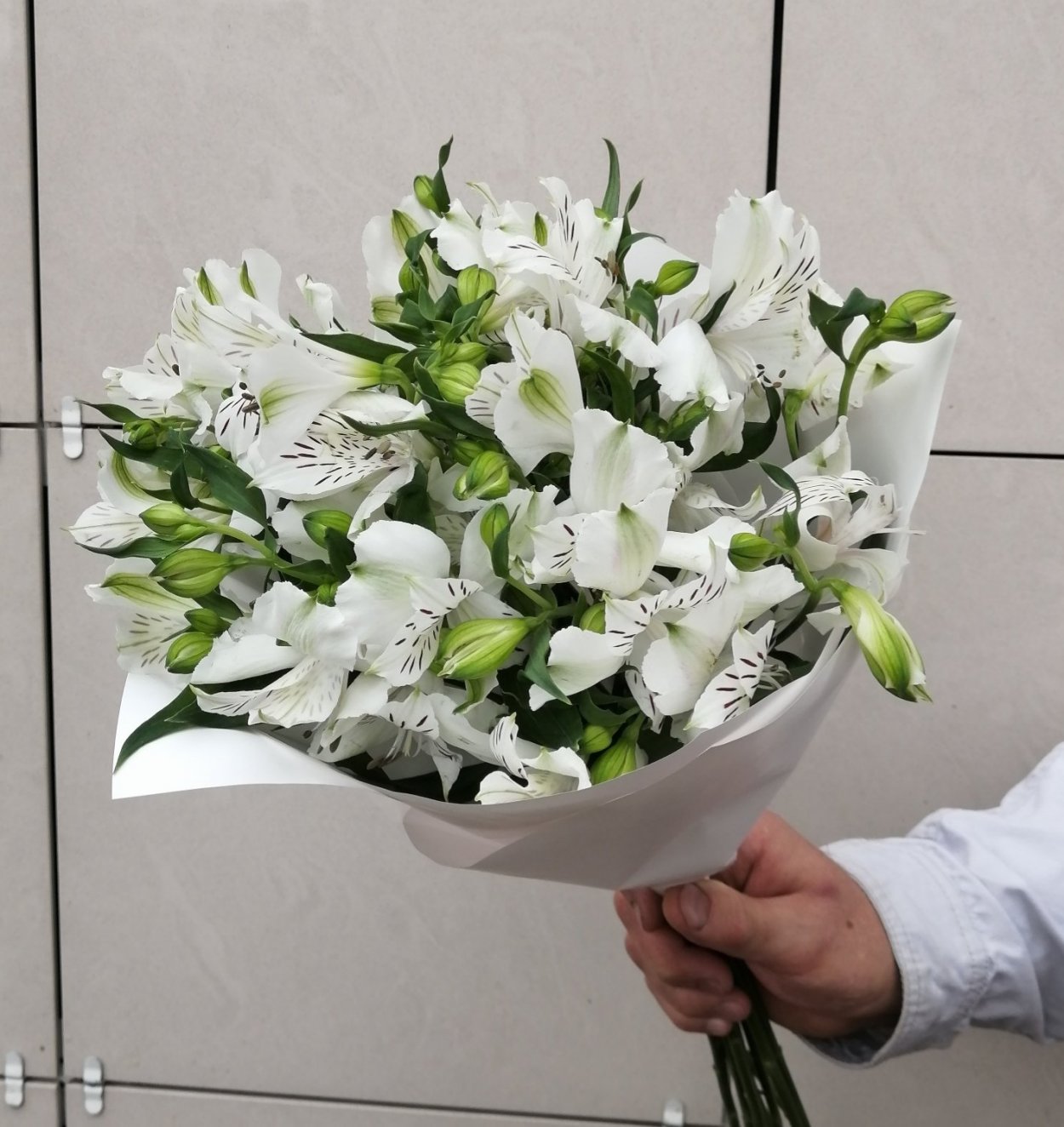 Альстромерия белая букет