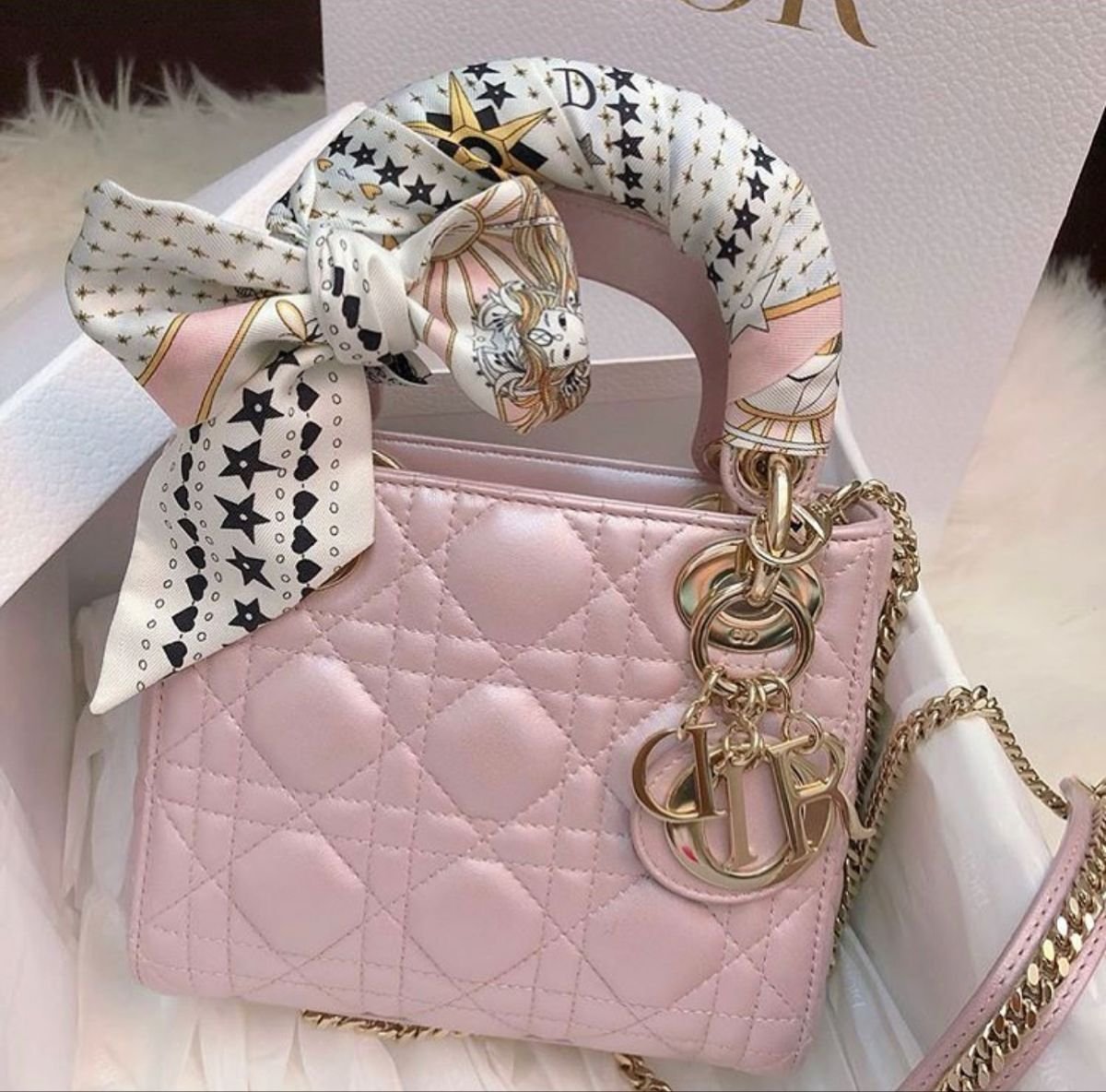 Dior bags. Сумка диор леди диор. Dior Lady Dior сумка. Регина Джордж сумка диор. Сумки диор 2022.