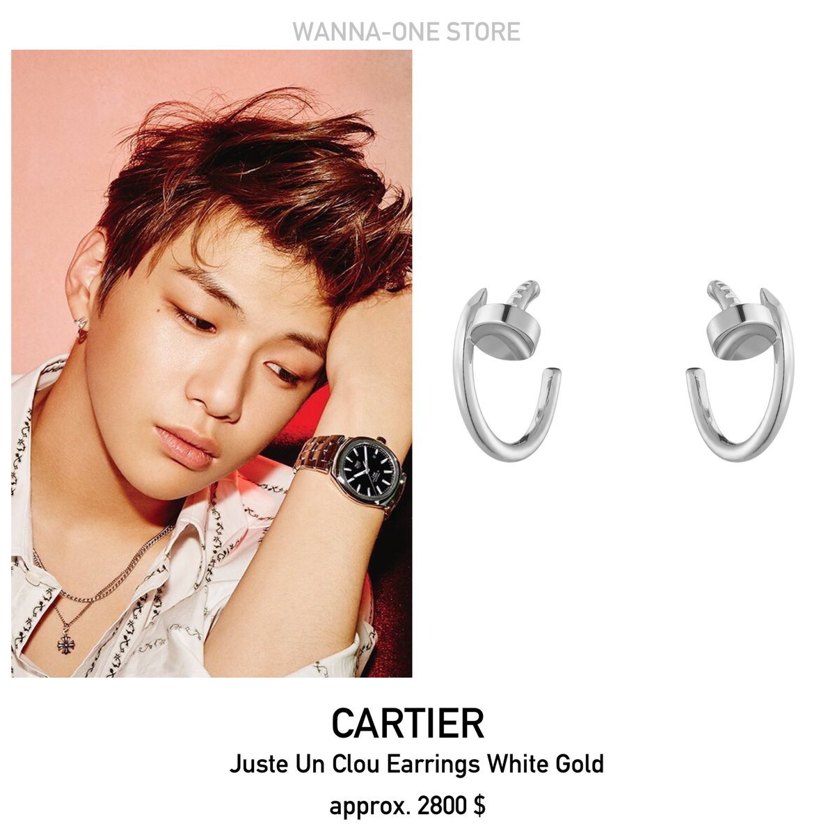 Серьги Cartier Love