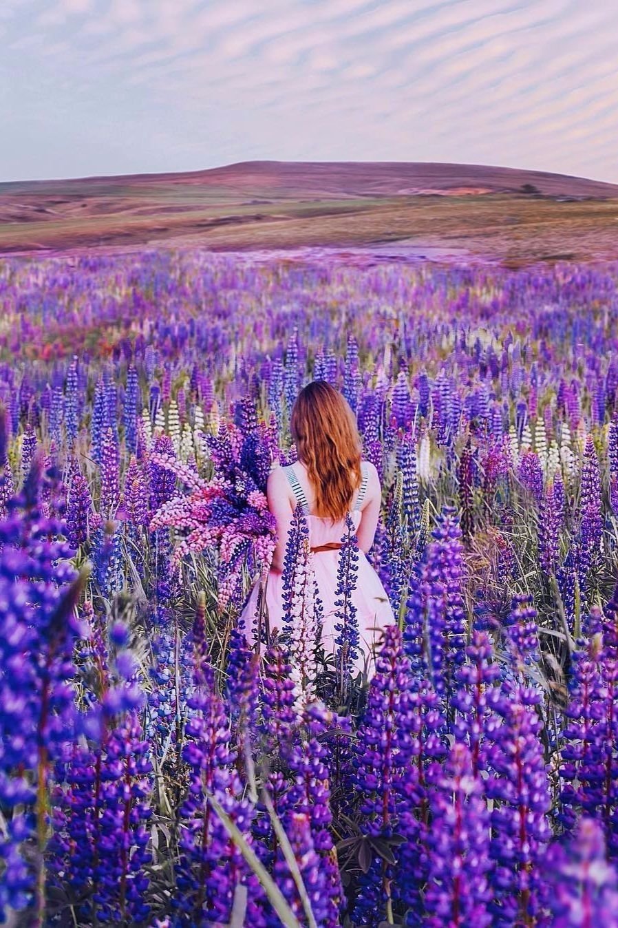 Люпины фотосессия девушки