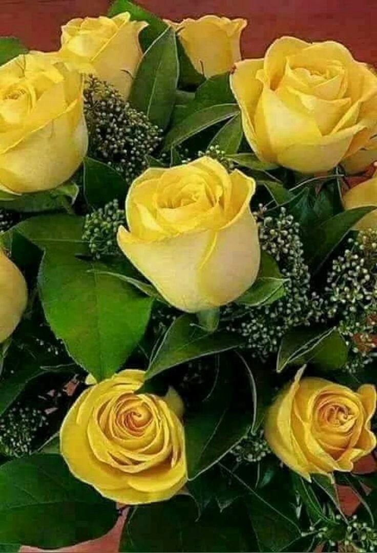 Желтые розы для Леночки