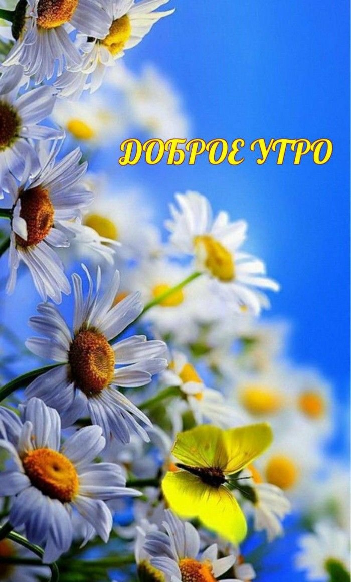 Чудесные цветы