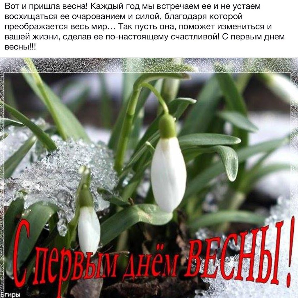 Открытки с первым днем весны