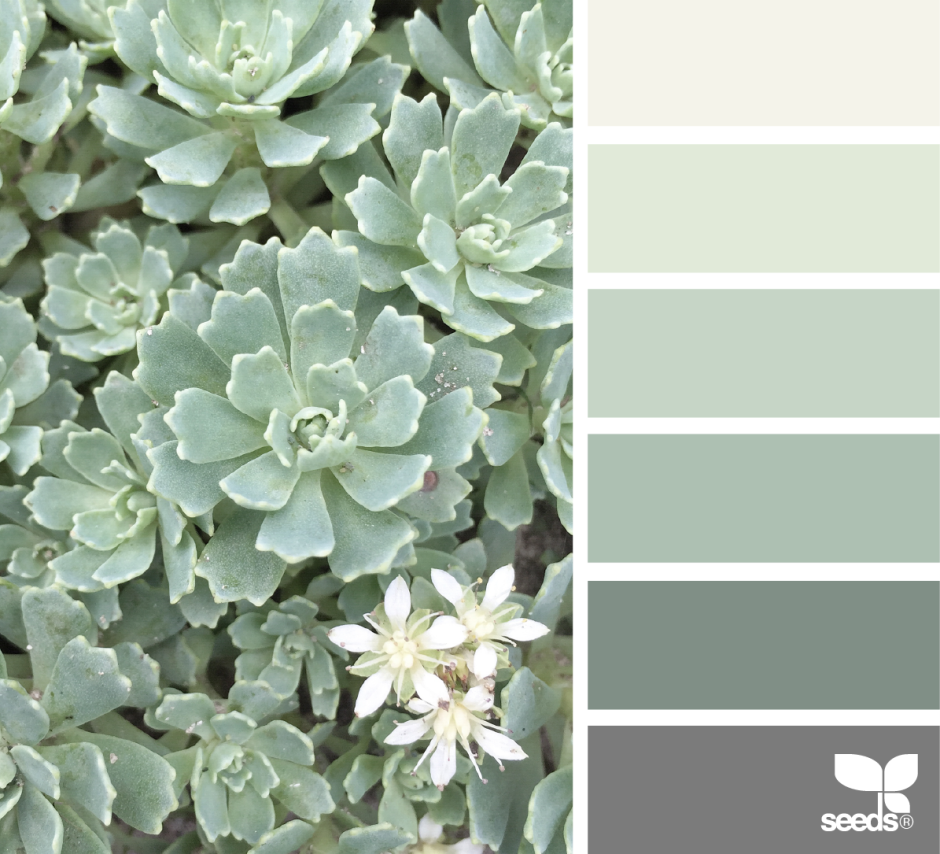 Цвет Полынь Pantone