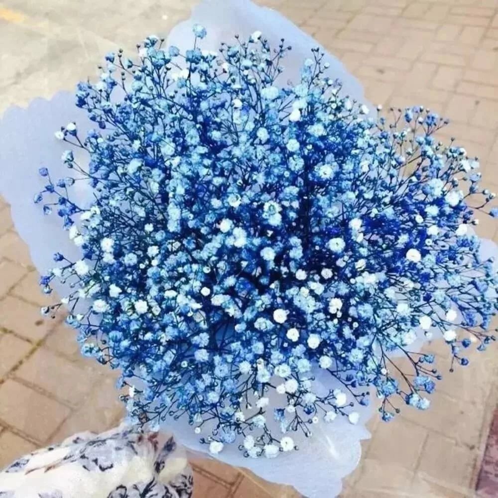 Лиатрис букет сухоцвет