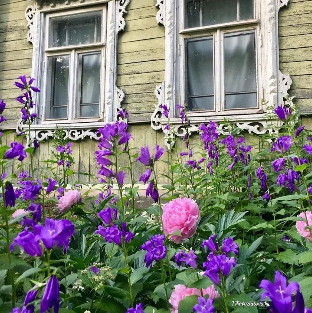 Деревенский Палисад