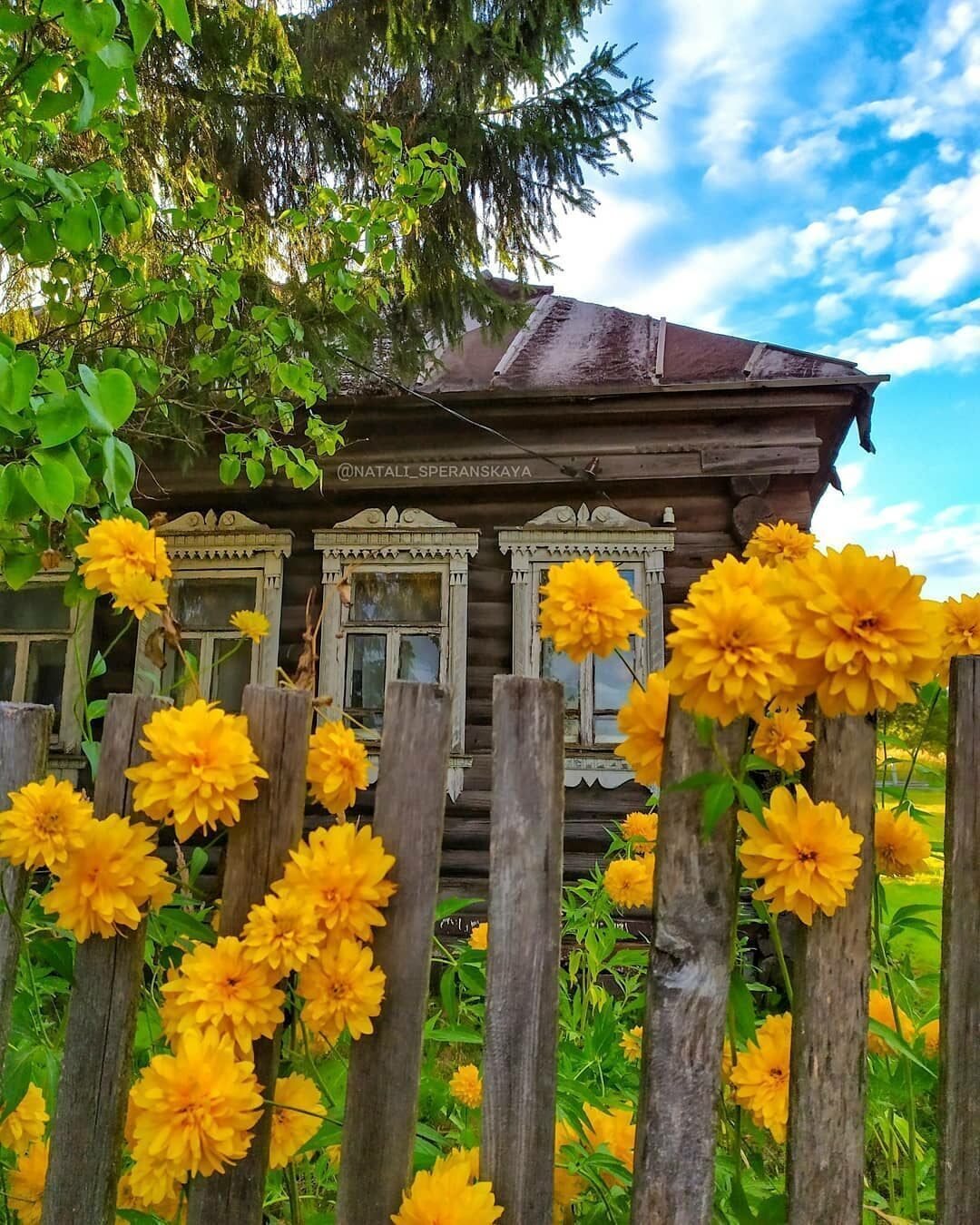 Цветы в деревне фото