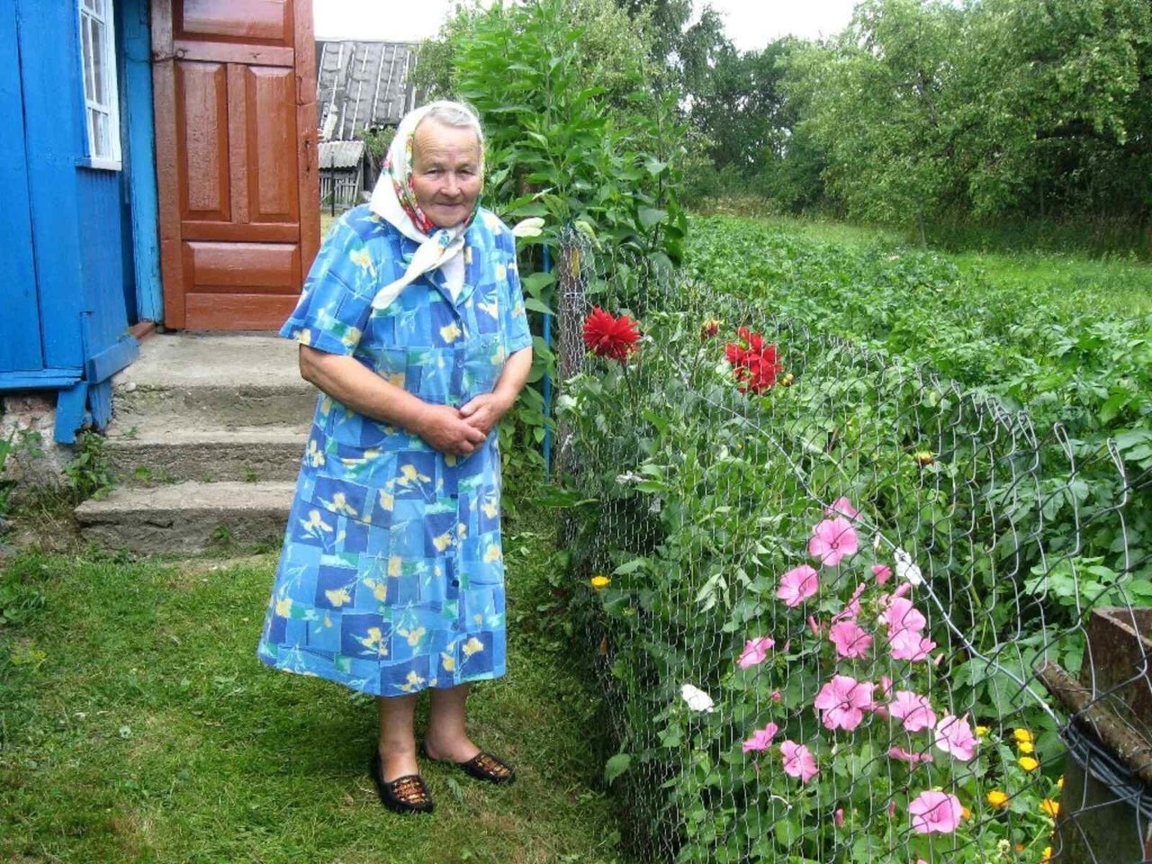 Пенсионерки деревне. Бабушка в огороде. Бабушка в деревне. Бабка в деревне. Старушка в деревне.