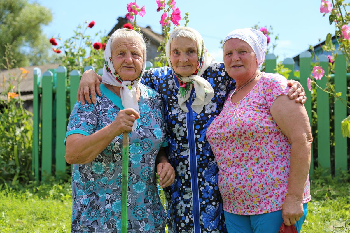 Петух на заборе
