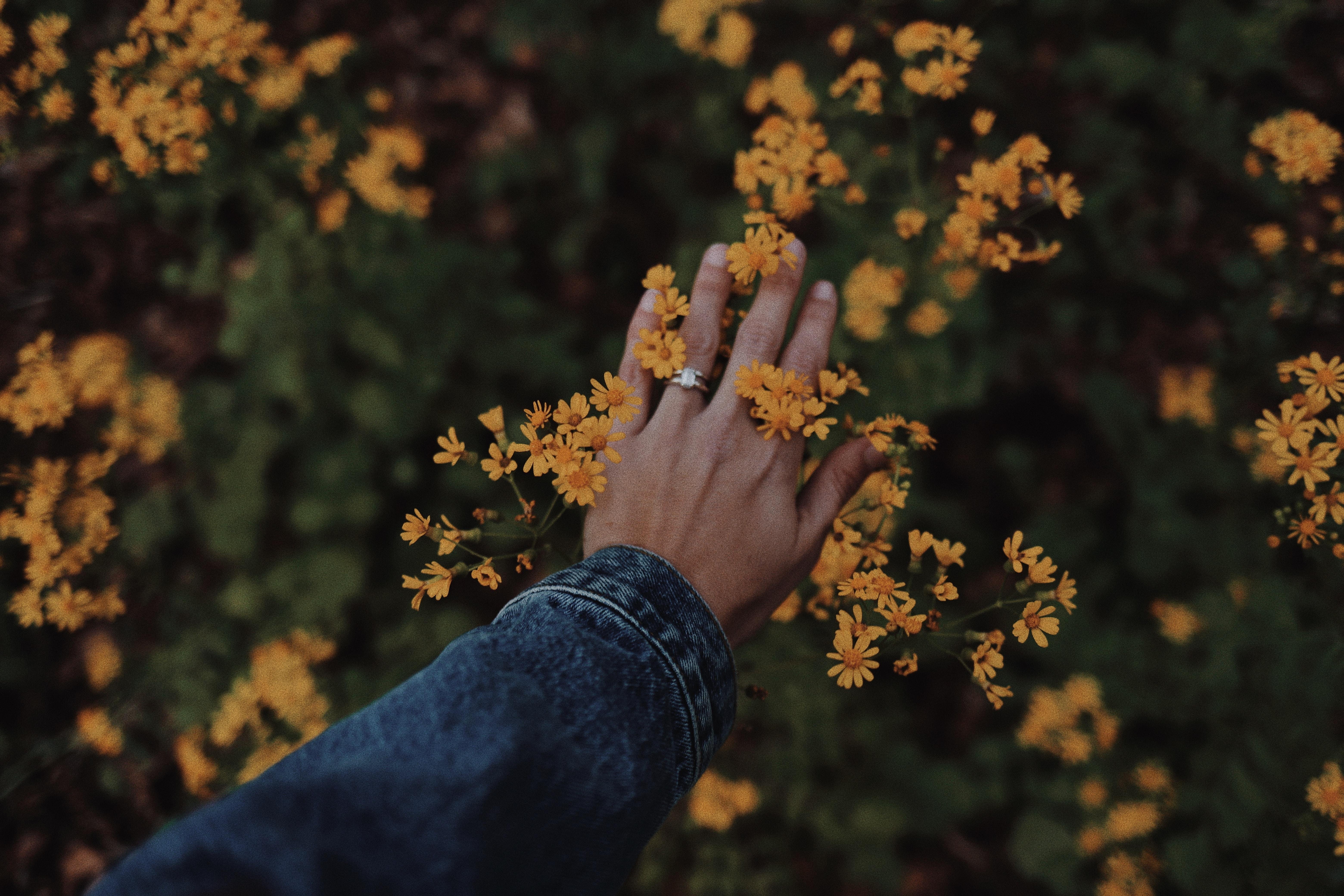 Желтое запястье. Цветок на руку.. Цветы и руки Эстетика. Цветы в ладонях. Рука с цветами.