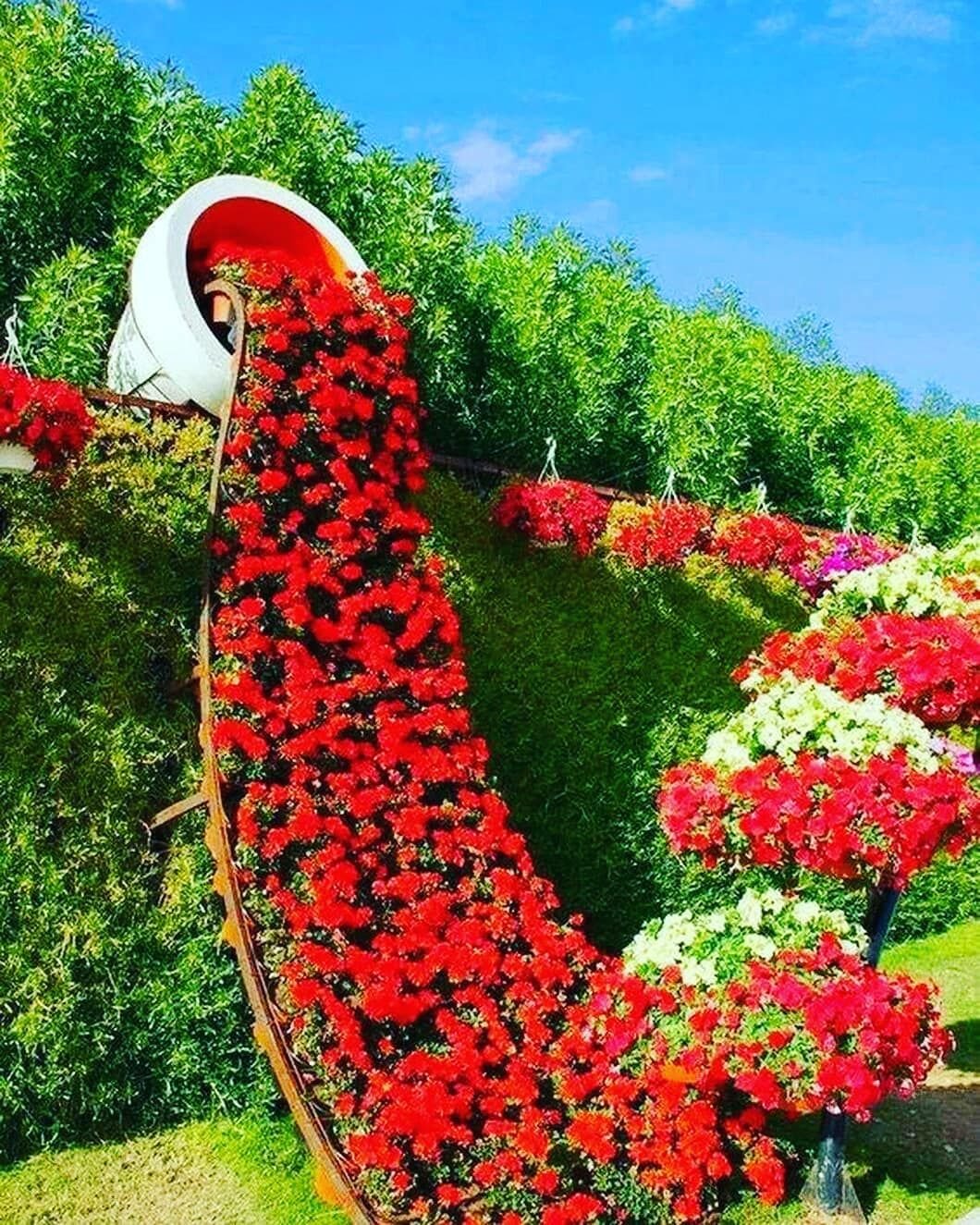 Клумбы из цветов