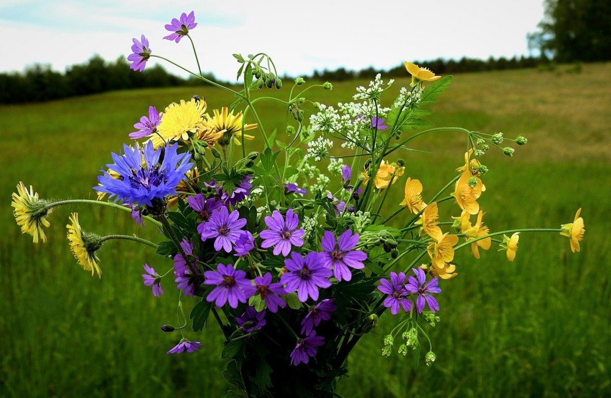 Flowers 01 Craft o’Clock