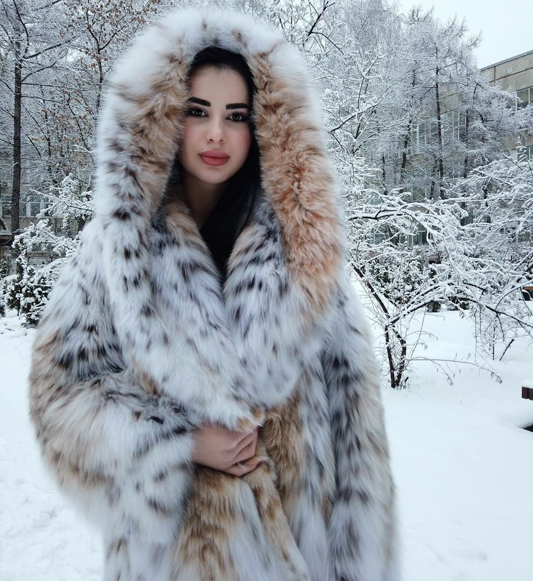 Шубы из рыси за миллион